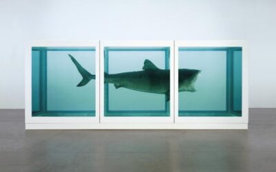 Is a Shark in a Tank of Formaldehyde Really Art? Really?