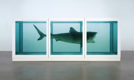 Is a Shark in a Tank of Formaldehyde Really Art? Really?