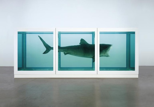 Is a Shark in a Tank of Formaldehyde Really Art? Really?