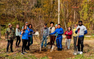 PTK student at STCC reflects on Planting More Than Trees