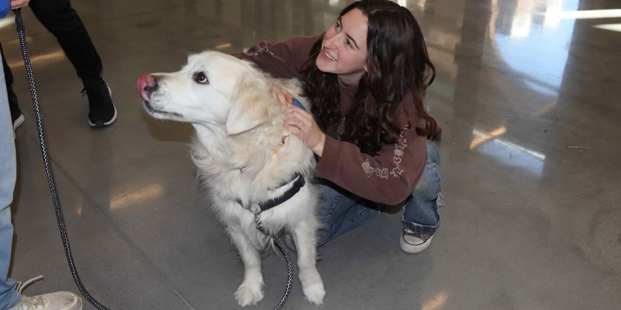 Therapy Dogs and Food lift spirits at STCC