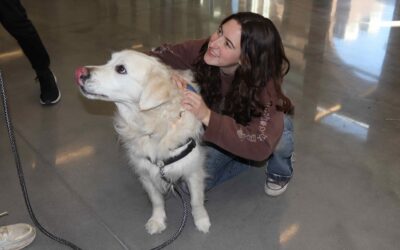 Therapy Dogs and Food lift spirits at STCC