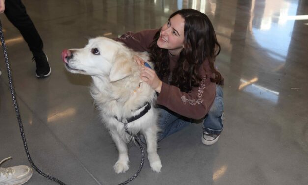 Therapy Dogs and Food lift spirits at STCC