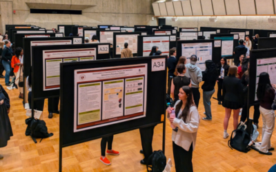 STCC student Isabella Rodriguez presents at UMass