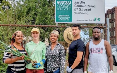 Garlic and One Health: Lessons from a Community Harvest