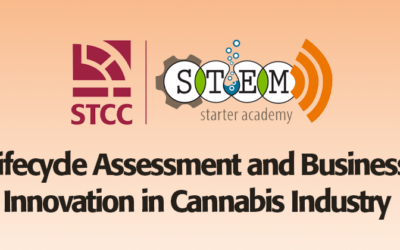 Lifecycle Assessment and Business Innovation in Cannabis Industry