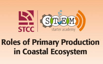 Roles of Primary Production in Coastal Ecosystem