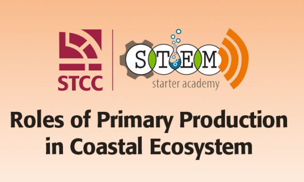 Roles of Primary Production in Coastal Ecosystem