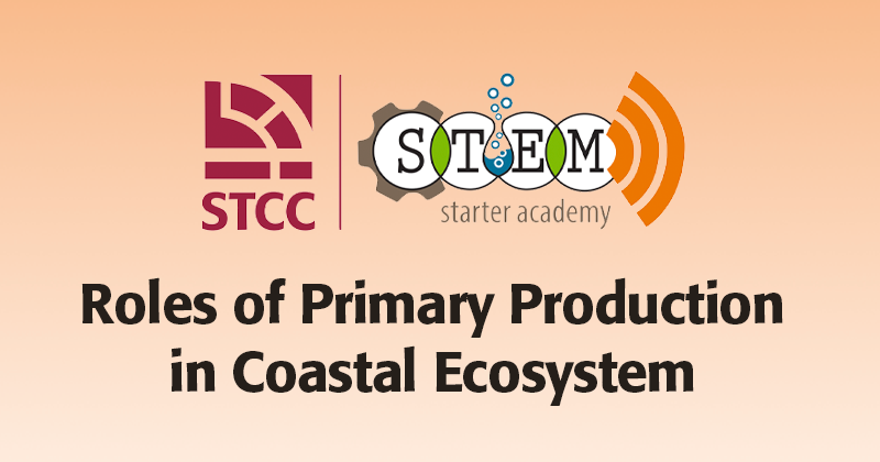 Roles of Primary Production in Coastal Ecosystem