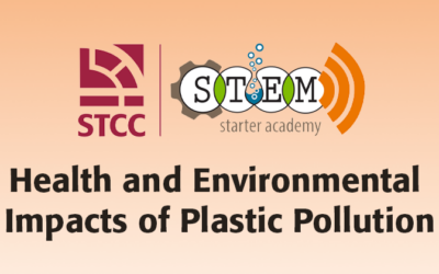 Health and Environment Impacts of Plastic Pollution