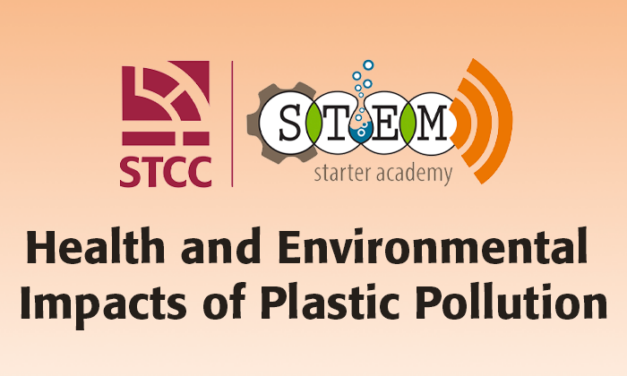 Health and Environment Impacts of Plastic Pollution