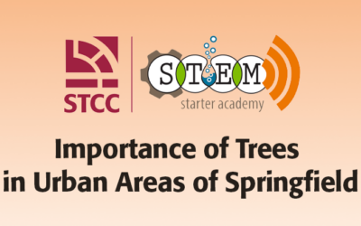 Importance of Trees in Urban Areas of Springfield