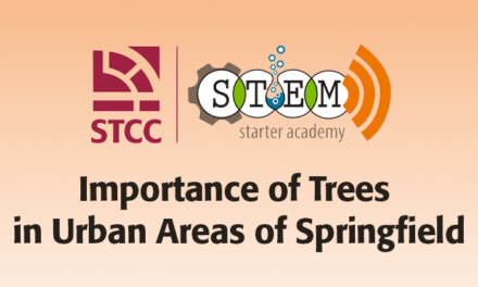 Importance of Trees in Urban Areas of Springfield