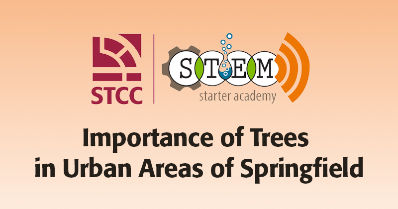 Importance of Trees in Urban Areas of Springfield