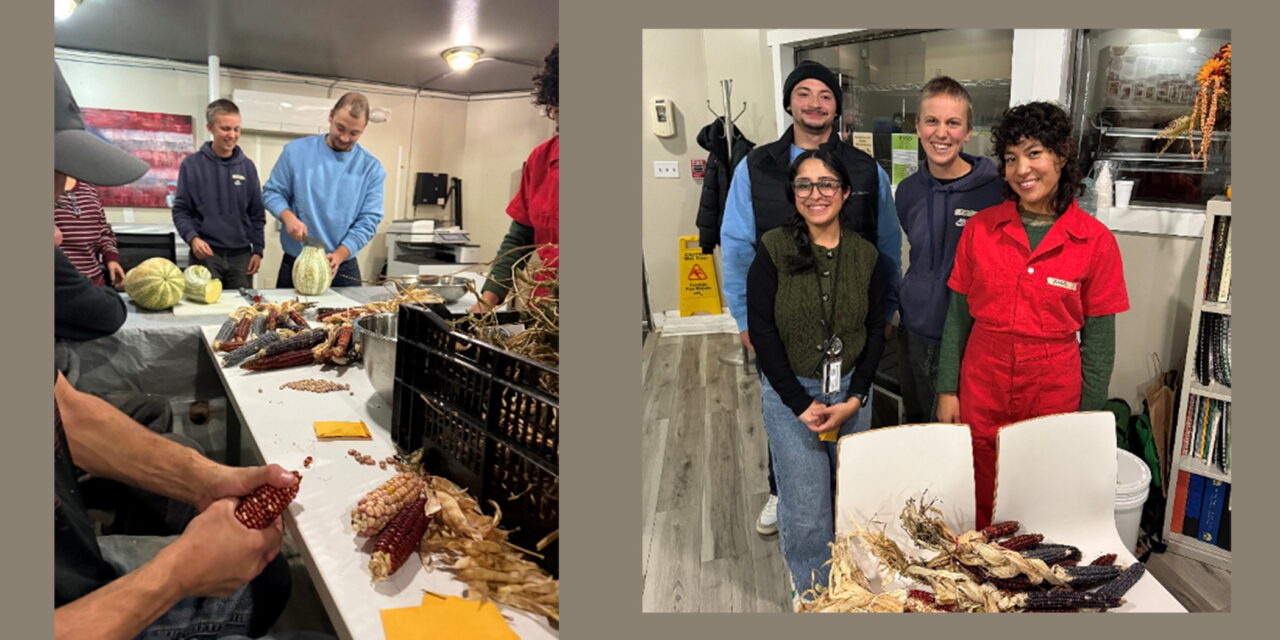 From Garden Roots to Future Medicine: STCC Student Reflects on PTK Seed Saving Workshop