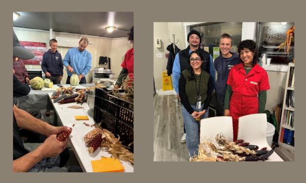 From Garden Roots to Future Medicine: STCC Student Reflects on PTK Seed Saving Workshop